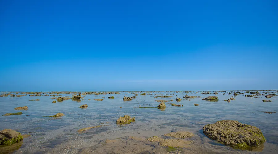 Marine National Park